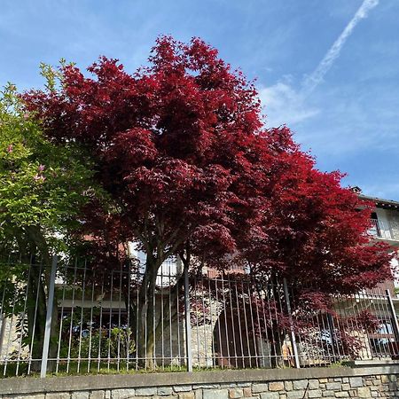 La Casa Di Nina - Traves Villa Pessinetto ภายนอก รูปภาพ