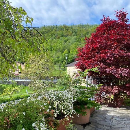 La Casa Di Nina - Traves Villa Pessinetto ภายนอก รูปภาพ