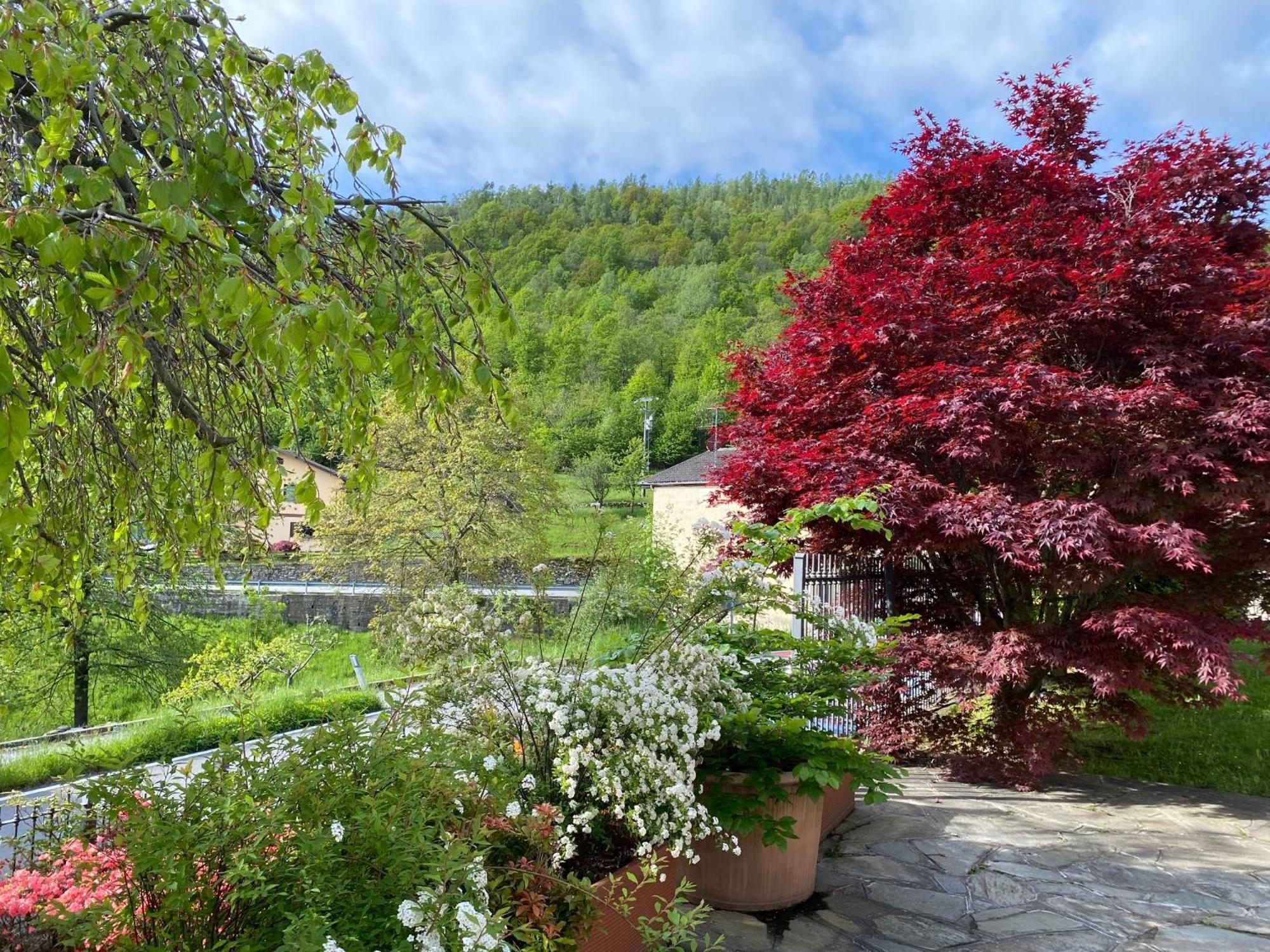 La Casa Di Nina - Traves Villa Pessinetto ภายนอก รูปภาพ